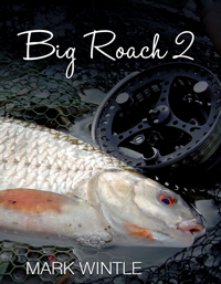 Big Roach 2