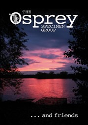 Osprey Specimen Book