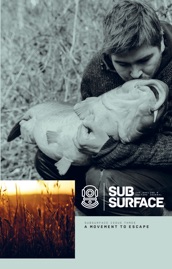 Subsurface 3
